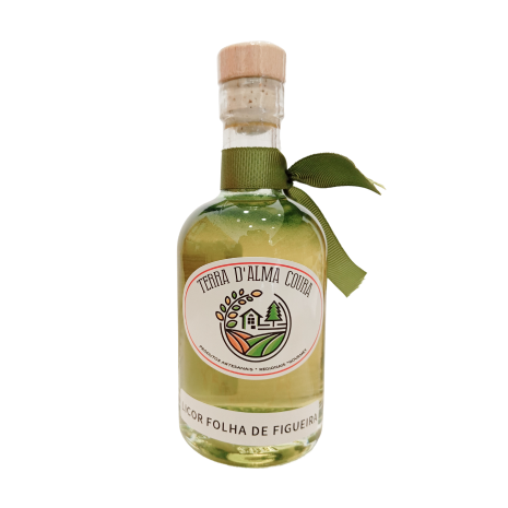 Licor de folha de figueira